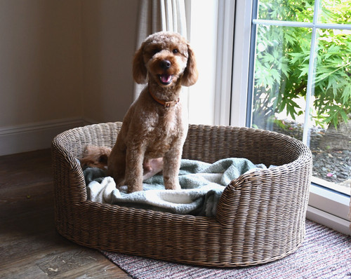 Small oval wicker dog - , bed
