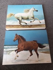 Horse Paintings - Originals -