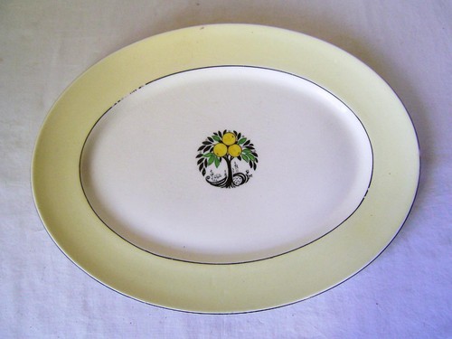 Myott oval meat plate - myott, plate: