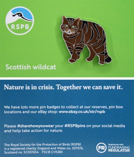 Rspb pin badge niic scottish - rspb,