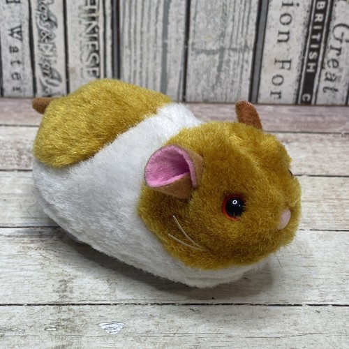 Zhu pet hamster - zhu,