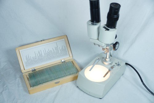 Koch binocular stereo - koch,
