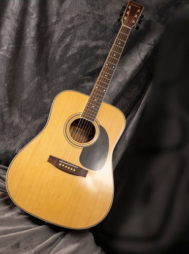 Hohner 600n acoustic guitar - mw-600n,