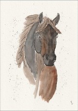 Original Watercolour And Ink Painting Of A Horse Contemporary Equestrian Art
