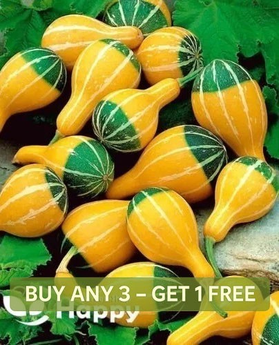 Small spoon seeds - spoon, 15