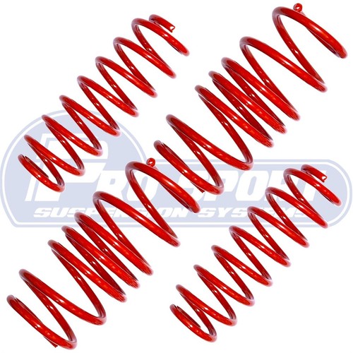 Pro sport lowering springs - sport,