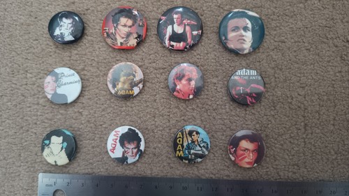 Adam ant the - ant, ants