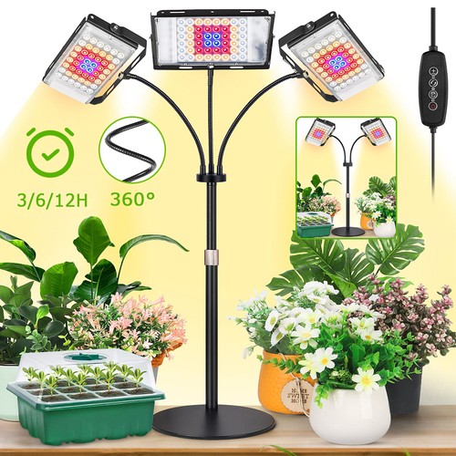 Led plant grow - plant, light