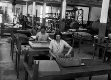 The Dunlop Tire Tennis Ball