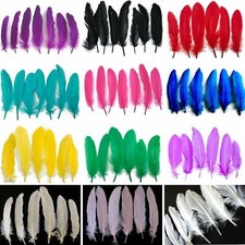 Goose Feathers - 12 Per Pack -