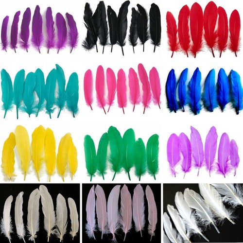 Goose feathers per pack - -, 12
