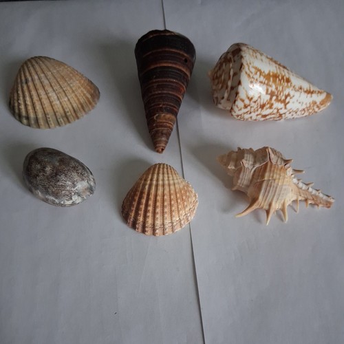 Mixed group interesting - of, &