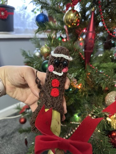 Novelty gingerbread man willy - gingerbread,