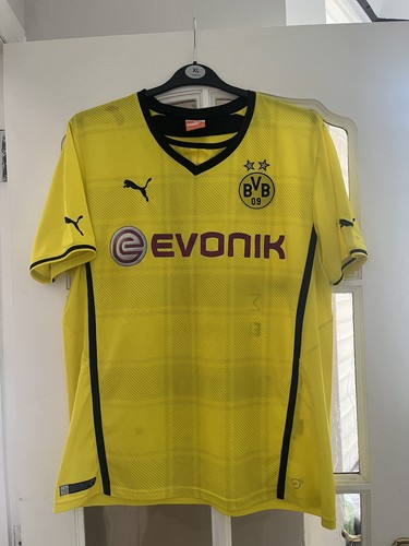 Borussia dortmund 2013 - dortmund, 2013-14