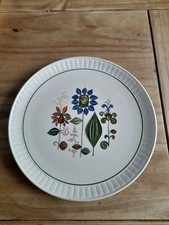 Vintage 60s Royal Worcester  Palissy Dinner Plate