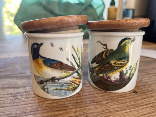 Portmeirion birds britain - portmeirion,