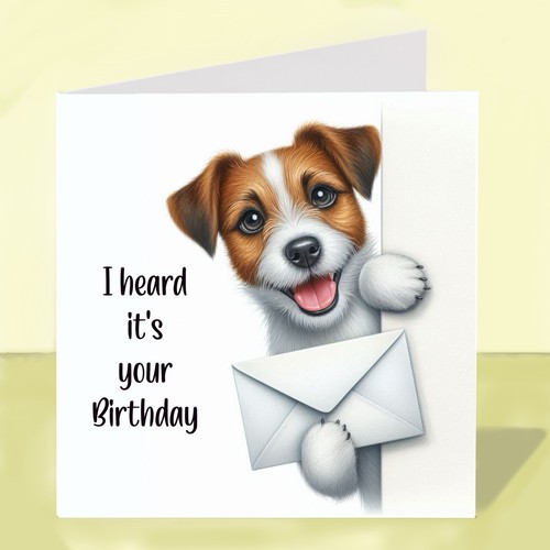 Jack russell terrier - jack,