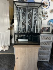 reptile vivarium set up