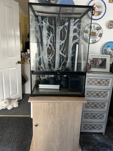 Reptile vivarium set - reptile,