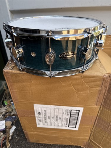 Pacific maple snare - 14”, dw