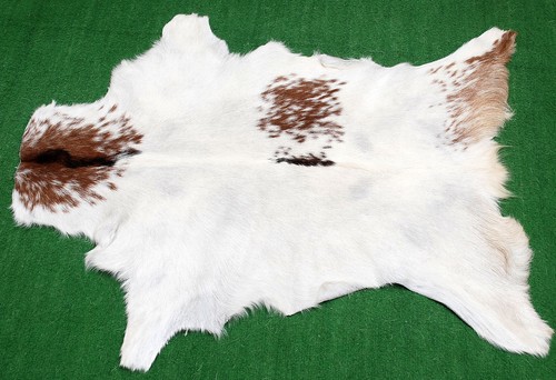 Luxury goat hide - goat,
