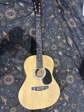 Elevation Acoustic Guitar