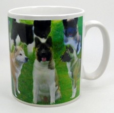 ~ JAPANESE/AMERICAN AKITA ~