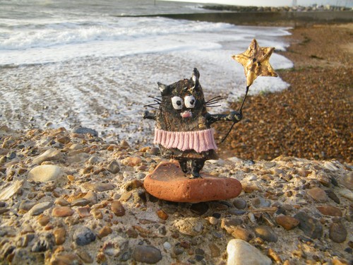 Donna driftwood torty cat - donna, -driftwood