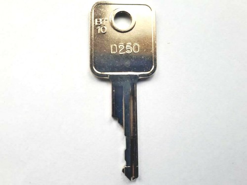 D250 key for plant - key, plant: