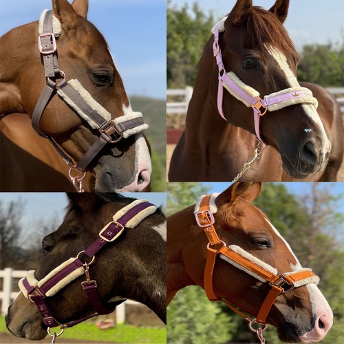Detachable horse training - detachable,
