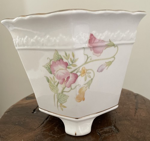 Norcroft fine bone china plant - fine,