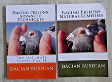 Racing Pigeon Dacian Busecan