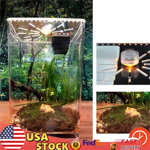Large acrylic reptile - large,