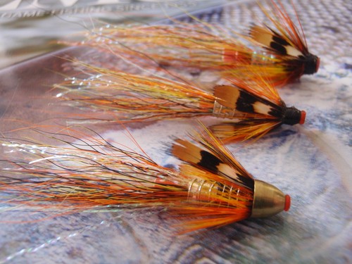 Cascade all rounder - rounder', tube