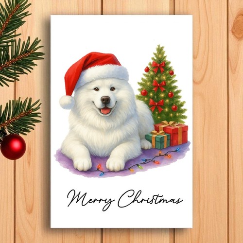 Samoyed dog christmas card - samoyed,