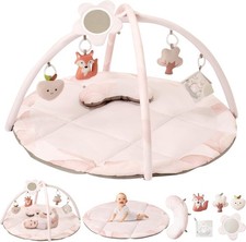 Baby Play Gym & Activity