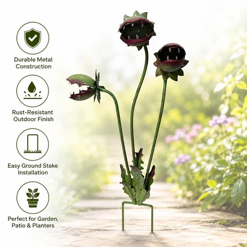 Carnivorous plant garden - plant,