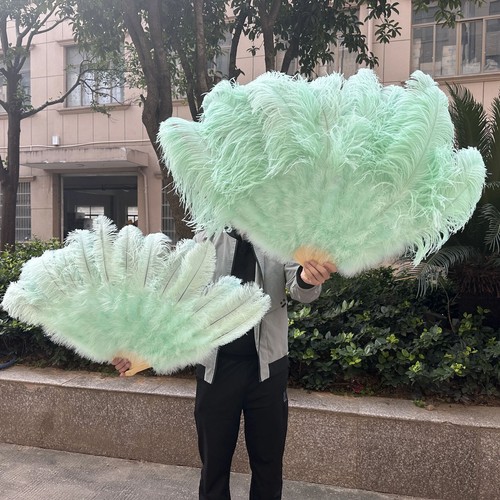2pcs farm ostrich hand feather - ostrich,