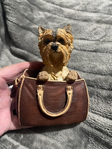 Leonardo collection dog - collection,
