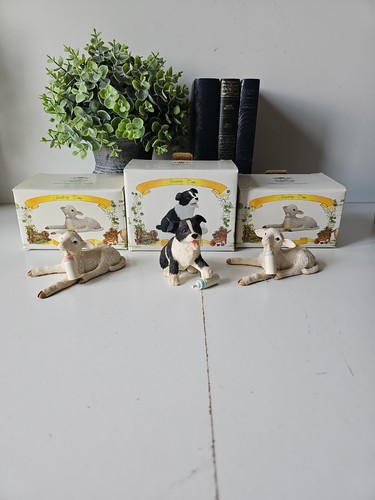 Leonardo border collie - leonardo, dog