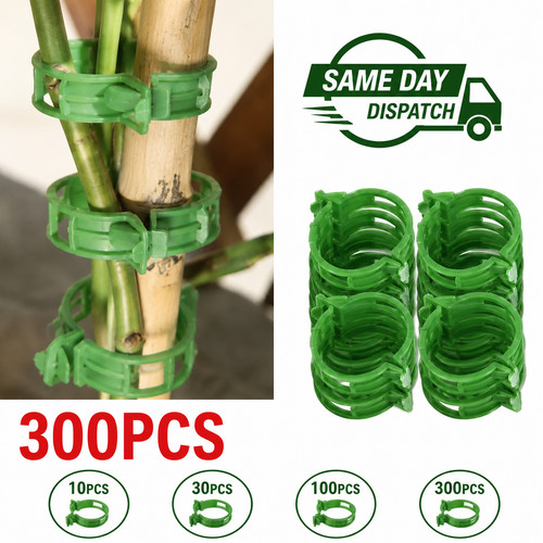 100x clip tomato - tomato, veggie