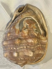 vintage hand-carved  conch