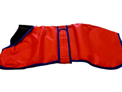 Greyhound waterproof walking - greyhound,