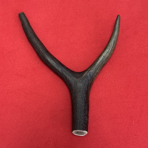 One piece deer antler y - one,