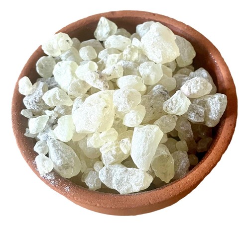 Gum dammar damar tree resin - gum, dammar-damar-tree