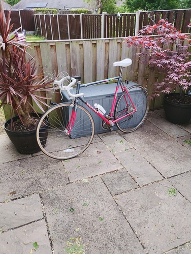 Vintage peugeot esprit road - vintage,