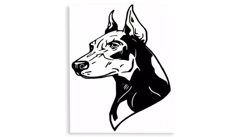 Doberman dog bumper sticker - doberman,