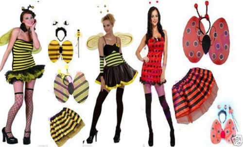 Womens ladybird bumble bee - bumble,