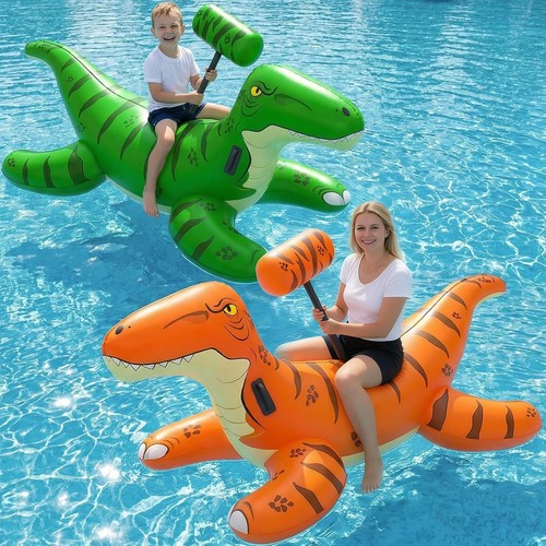 Pool floats 2pack - pool,