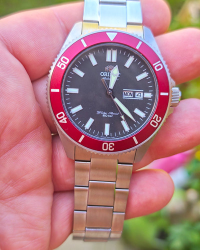 Orient kanno red - orient, bezel